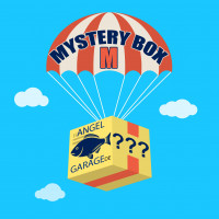 AngelGarageDE Mystery Box Überraschungsbox Zubehör Angelbedarf M Raubfisch