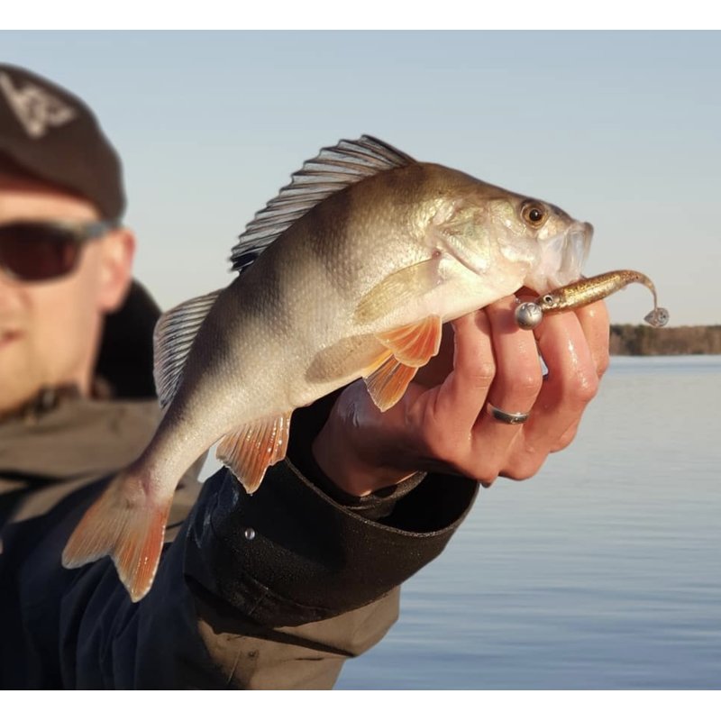 K.P Baits Flash Shad 4,5" Angel Garage